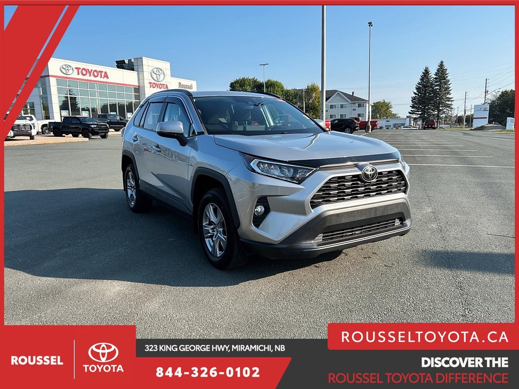 RAV4 XLE 2019 à Miramichi, Nouveau-Brunswick - 19 - w1024h768px