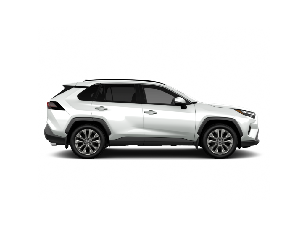 RAV4 XLE Premium AWD 2025 à Miramichi, Nouveau-Brunswick - 4 - w1024h768px