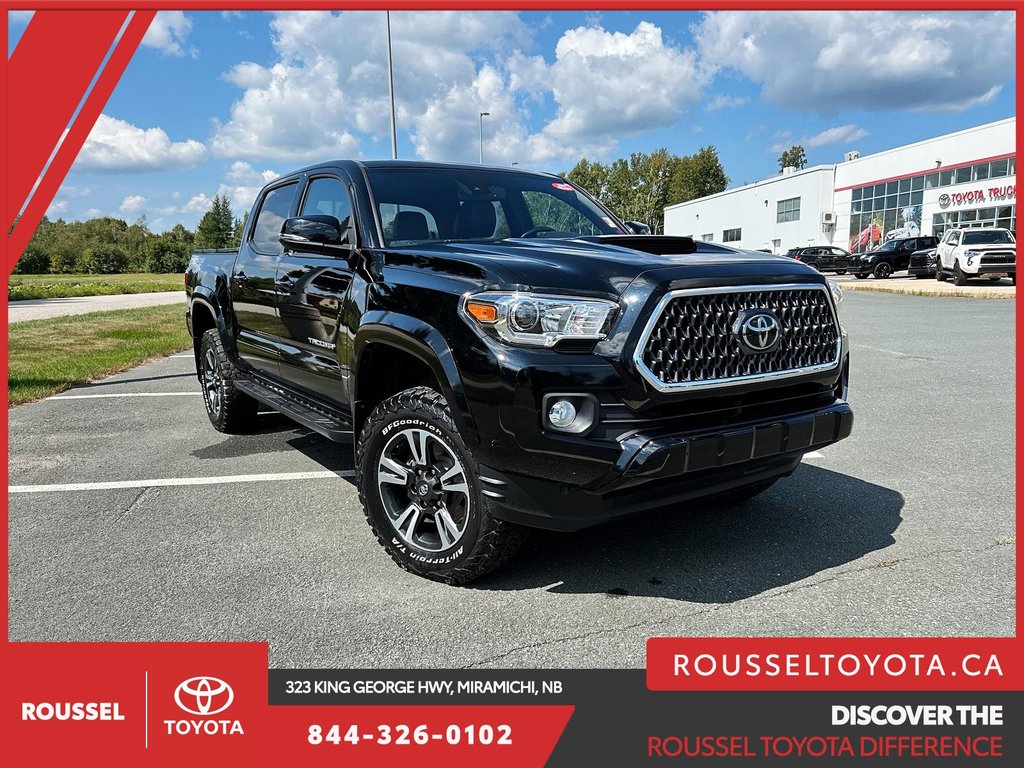 2019  Tacoma DOUBLE CAB 6M SB in Miramichi, New Brunswick - 19 - w1024h768px