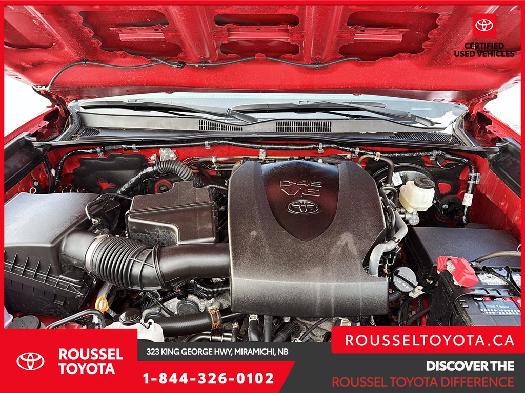 Toyota Tacoma TRD Sport 2021 à Miramichi, Nouveau-Brunswick - 8 - w1024h768px