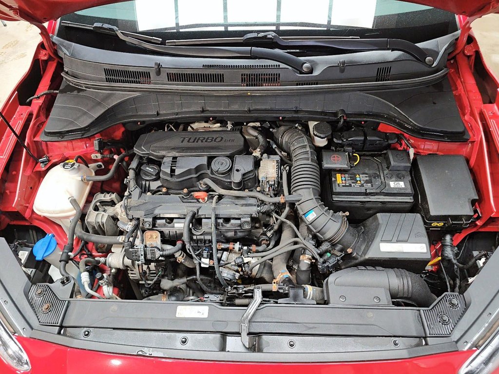 Hyundai Kona  2022 à Baie-Comeau, Québec - 17 - w1024h768px