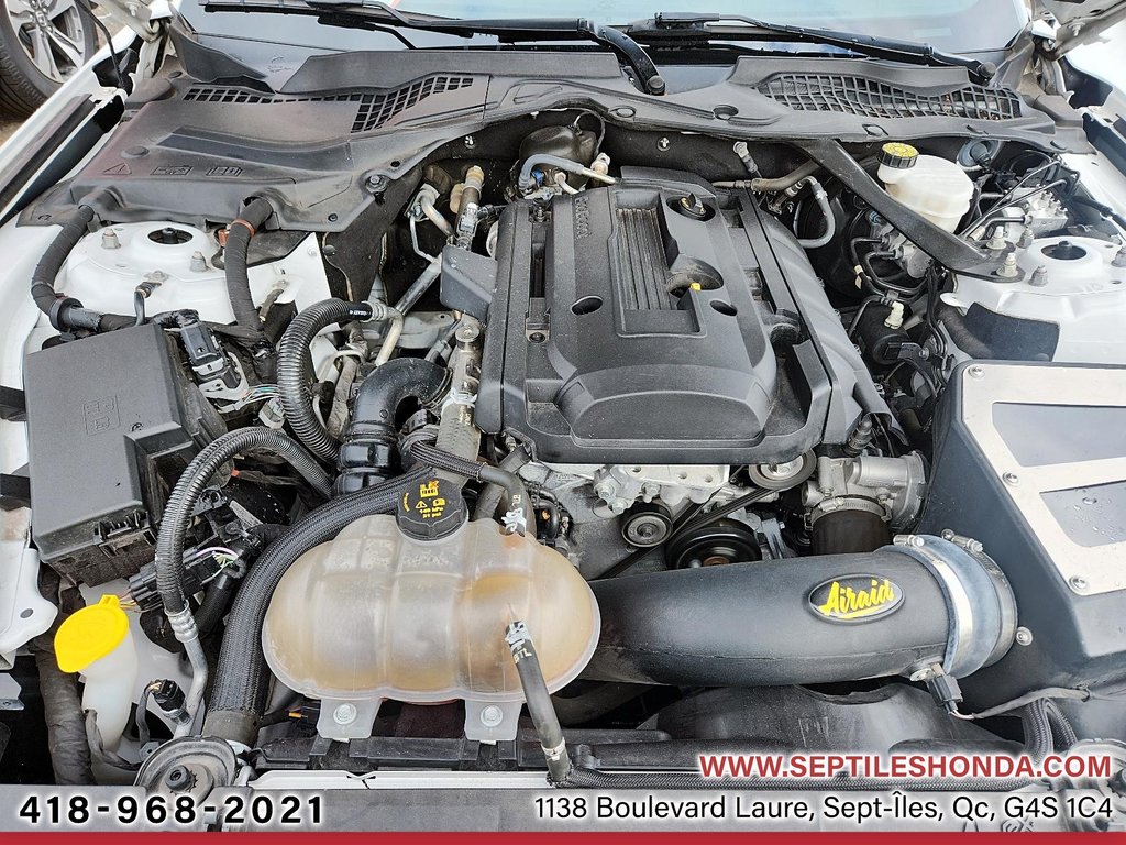 2019 Ford Mustang EcoBoost Premium in Sept-Iles, Quebec - 6 - w1024h768px