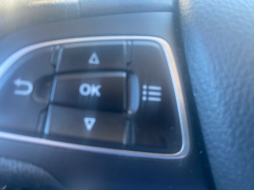 2020 Ford EcoSport SE | Cam | USB | Bluetooth | Keyless | Cruise in Amherst, Nova Scotia - 31 - w1024h768px