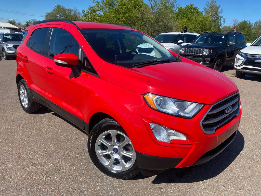 2020 Ford EcoSport SE | Cam | USB | Bluetooth | Keyless | Cruise in Amherst, Nova Scotia - 1 - w1024h768px