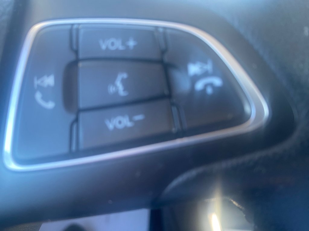 2020 Ford EcoSport SE | Cam | USB | Bluetooth | Keyless | Cruise in Amherst, Nova Scotia - 33 - w1024h768px