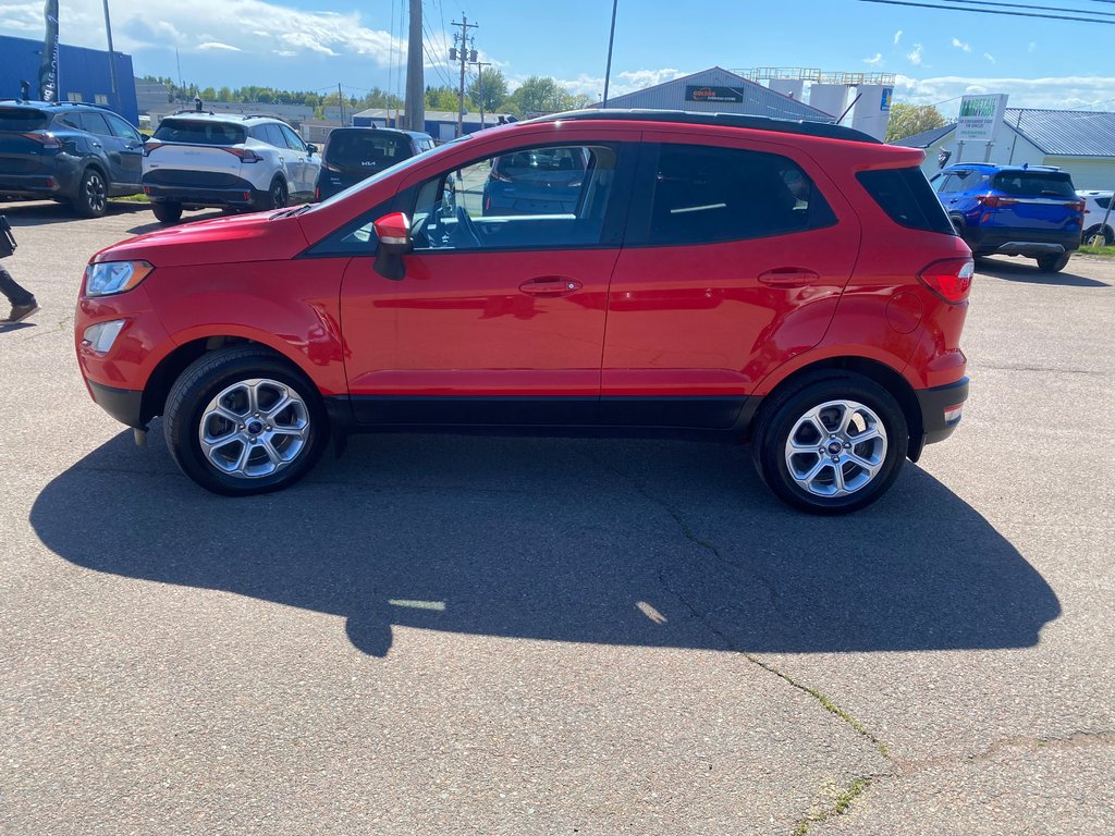 2020 Ford EcoSport SE | Cam | USB | Bluetooth | Keyless | Cruise in Amherst, Nova Scotia - 4 - w1024h768px