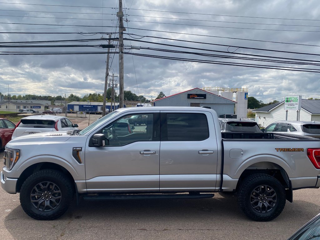 Ford F-150 Tremor | Cam | USB | Bluetooth | Keyless | Cruise 2022 à Hebbville, Nouvelle-Écosse - 4 - w1024h768px