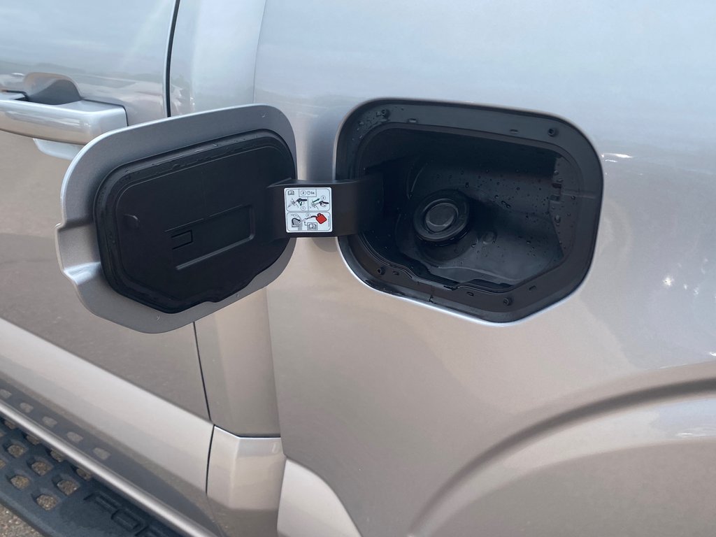 Ford F-150 Tremor | Cam | USB | Bluetooth | Keyless | Cruise 2022 à Hebbville, Nouvelle-Écosse - 16 - w1024h768px