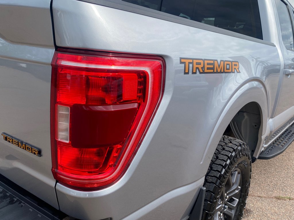 Ford F-150 Tremor | Cam | USB | Bluetooth | Keyless | Cruise 2022 à Hebbville, Nouvelle-Écosse - 14 - w1024h768px