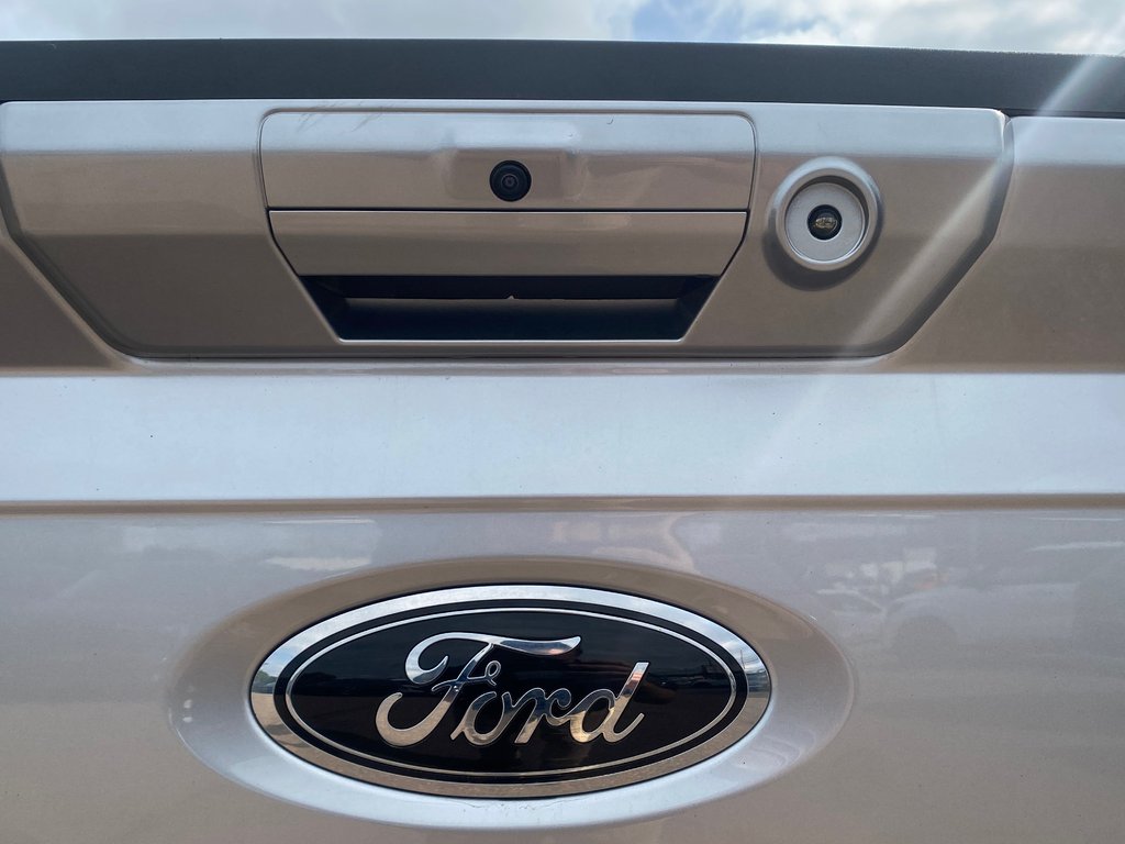 Ford F-150 Tremor | Cam | USB | Bluetooth | Keyless | Cruise 2022 à Hebbville, Nouvelle-Écosse - 15 - w1024h768px