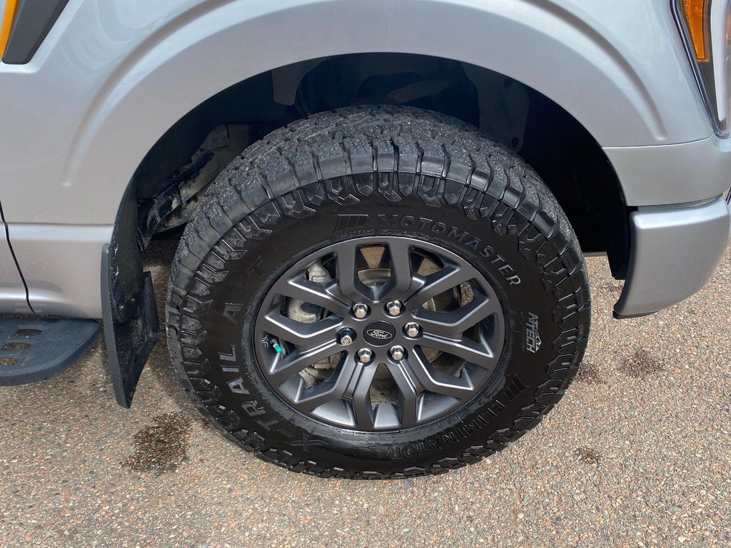 Ford F-150 Tremor | Cam | USB | Bluetooth | Keyless | Cruise 2022 à Hebbville, Nouvelle-Écosse - 9 - w1024h768px