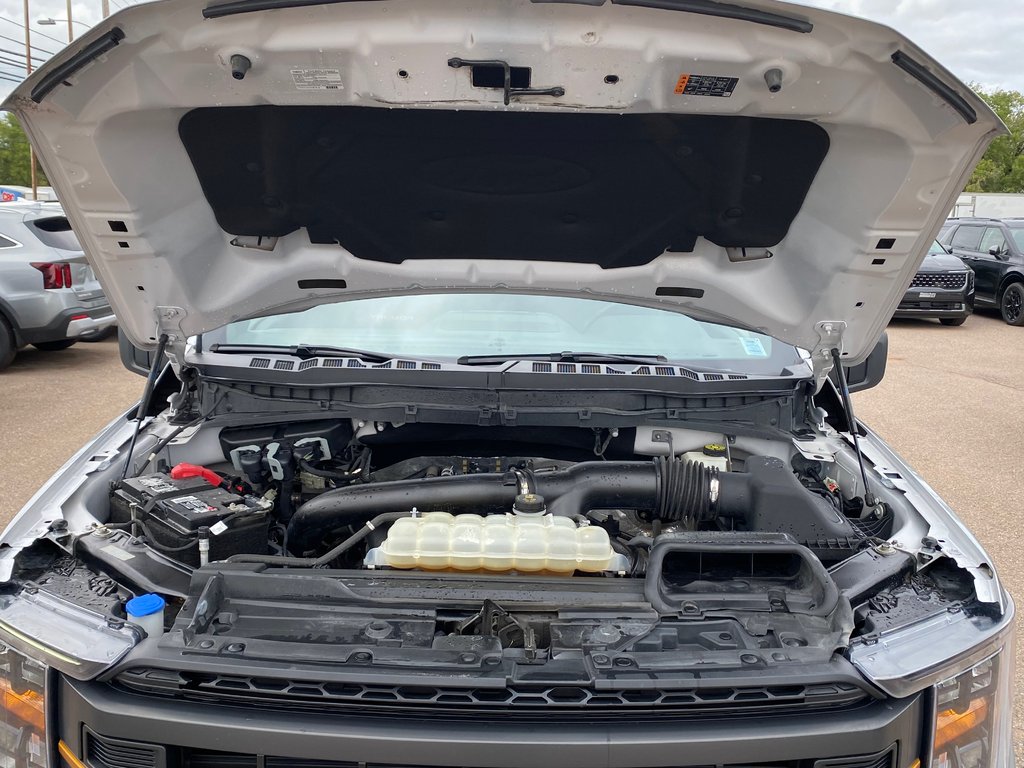 Ford F-150 Tremor | Cam | USB | Bluetooth | Keyless | Cruise 2022 à Hebbville, Nouvelle-Écosse - 55 - w1024h768px