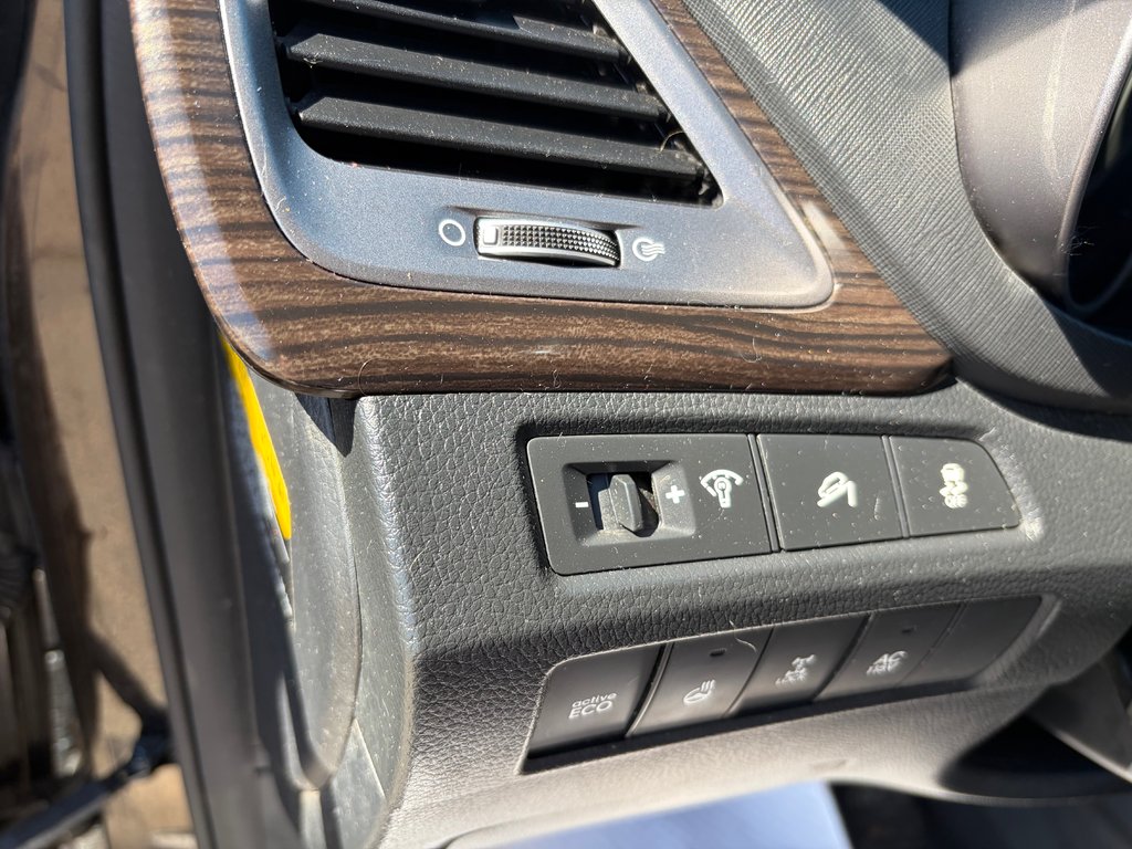 2016 Hyundai Santa Fe XL Premium | 7-Pass | Cam | HtdWheel | USB | Keyless in Amherst, Nova Scotia - 20 - w1024h768px