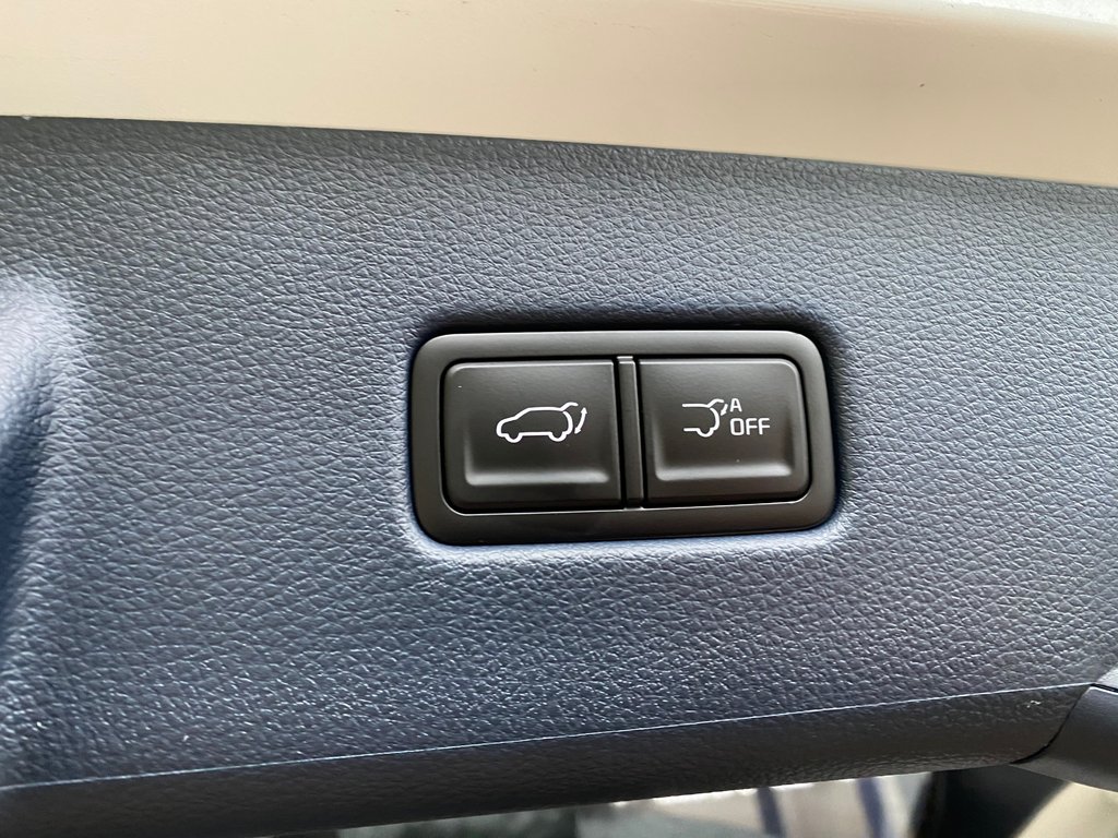 Kia Carnival Hybrid SX | HEV | Leather | Nav | Roof | Warranty to 2034 2026 à Hebbville, Nouvelle-Écosse - 50 - w1024h768px