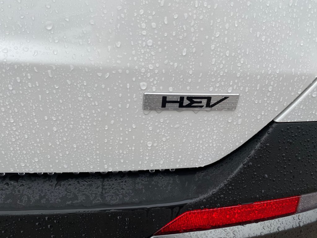 Kia Carnival Hybrid SX | HEV | Leather | Nav | Roof | Warranty to 2034 2026 à Hebbville, Nouvelle-Écosse - 13 - w1024h768px