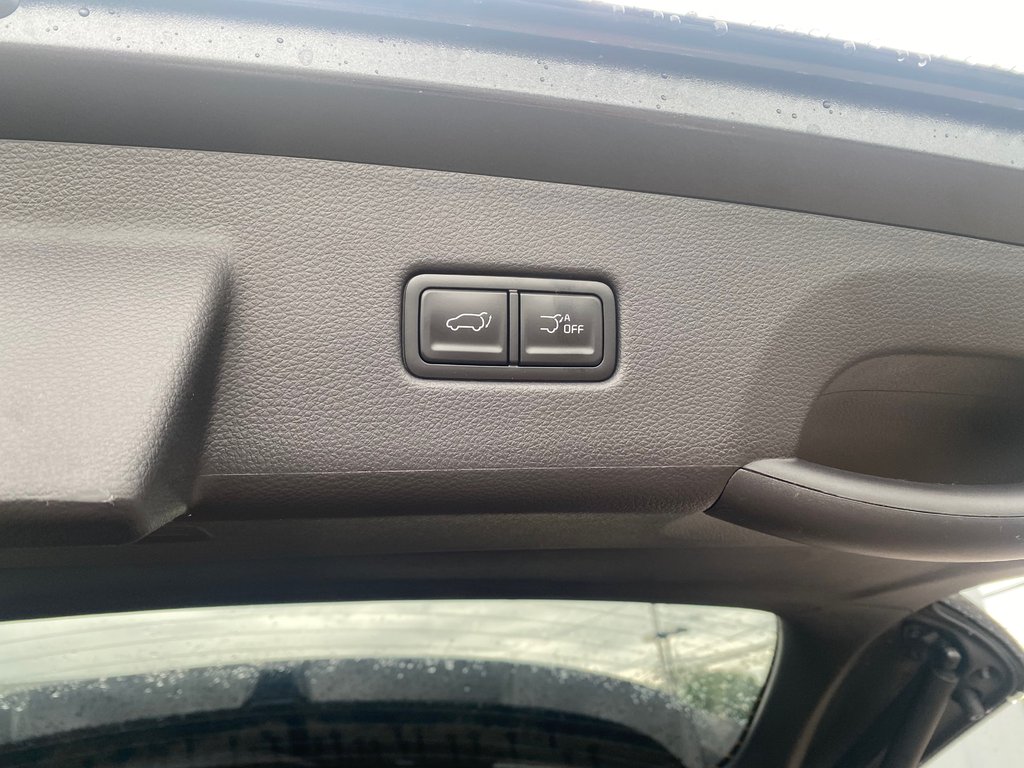 2026 Kia Carnival Hybrid SX+ | HEV | Leather | 7-Pass | Warranty to 2034 in Hebbville, Nova Scotia - 64 - w1024h768px