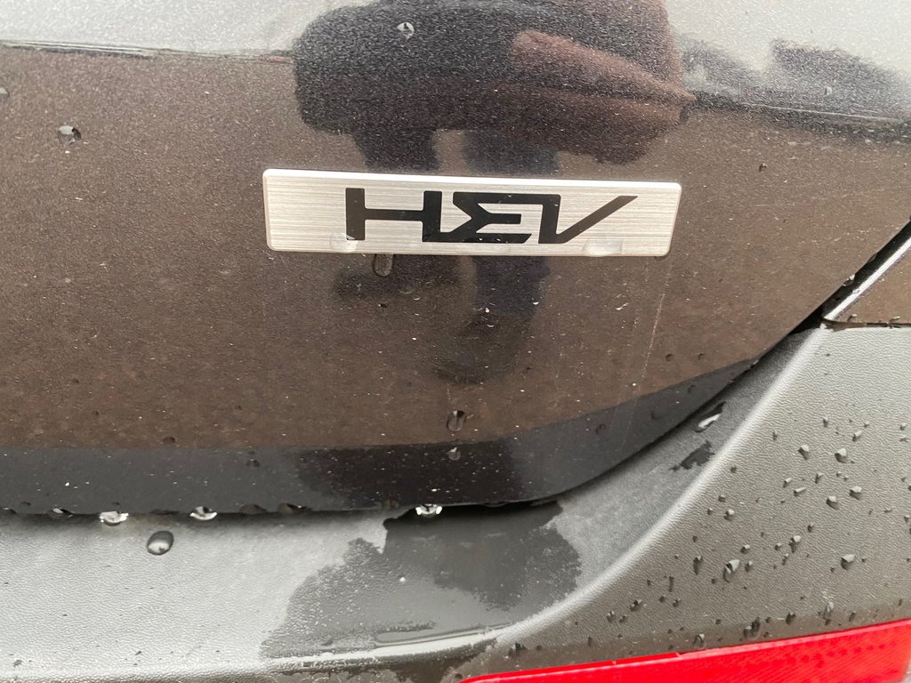 Kia Carnival Hybrid SX+ | HEV | Leather | 7-Pass | Warranty to 2034 2026 à Hebbville, Nouvelle-Écosse - 13 - w1024h768px
