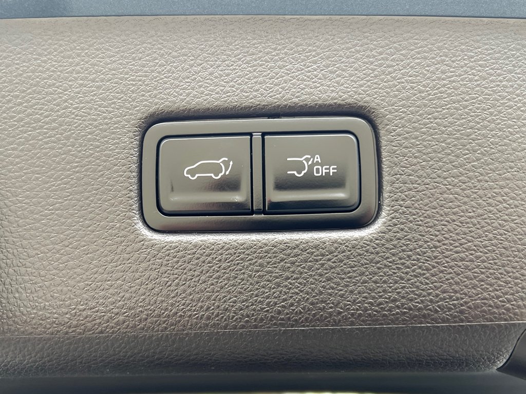 Kia Carnival EX | Leather | 8-Pass | Roof | Warranty to 2029 2025 à Amherst, Nouvelle-Écosse - 74 - w1024h768px