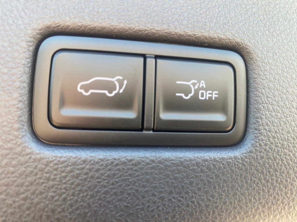 Kia Carnival SX+ | Leather | 7-Pass | Nav | Warranty to 2031 2026 à Hebbville, Nouvelle-Écosse - 17 - w1024h768px