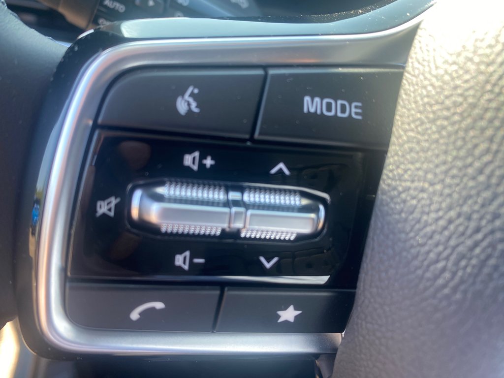 Kia Carnival SX+ | Leather | 7-Pass | Nav | Warranty to 2031 2026 à Hebbville, Nouvelle-Écosse - 30 - w1024h768px