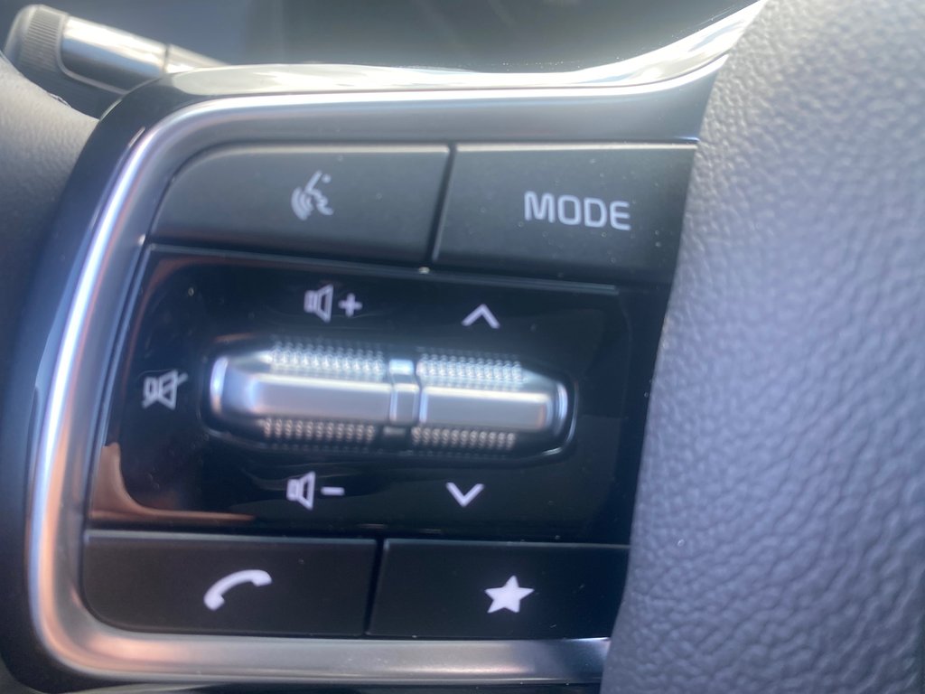 2026 Kia Carnival SX | Leather | Roof | Nav | Warranty to 2031 in Amherst, Nova Scotia - 38 - w1024h768px