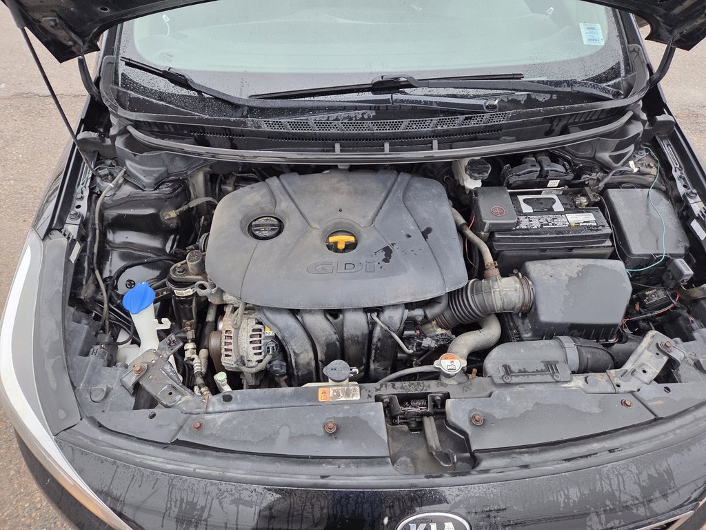 2017 Kia Forte 5-Door EX | Cam | USB | HtdSeats | Bluetooth | Keyless in Bridgewater, New Brunswick - 100 - w1024h768px