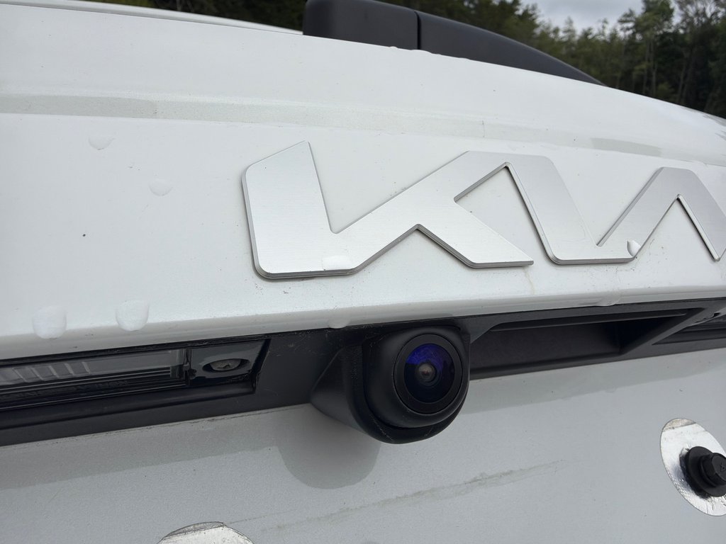 2025 Kia NIRO SX | HEV | Leather | Nav | Roof | Warranty to 2033 in Amherst, Nova Scotia - 28 - w1024h768px