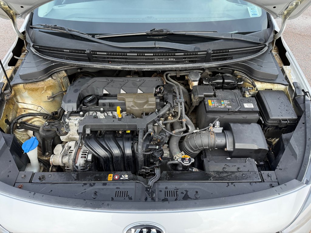 Kia Rio 5-door LX+ | Cam | USB | HtdSeats | Bluetooth | Cruise 2020 à Bridgewater, Nouveau-Brunswick - 11 - w1024h768px
