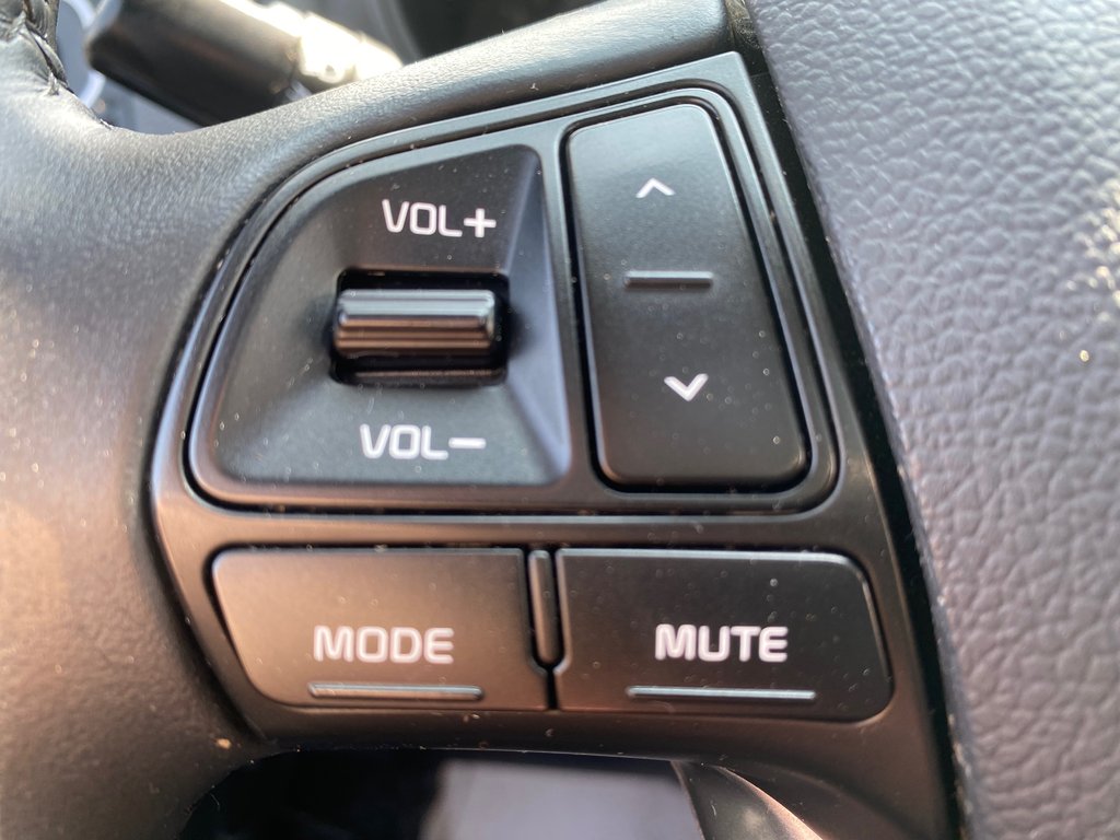 2017 Kia RIO EX | 6-Spd | SunRoof | Cam | USB | Bluetooth | XM in Amherst, Nova Scotia - 30 - w1024h768px