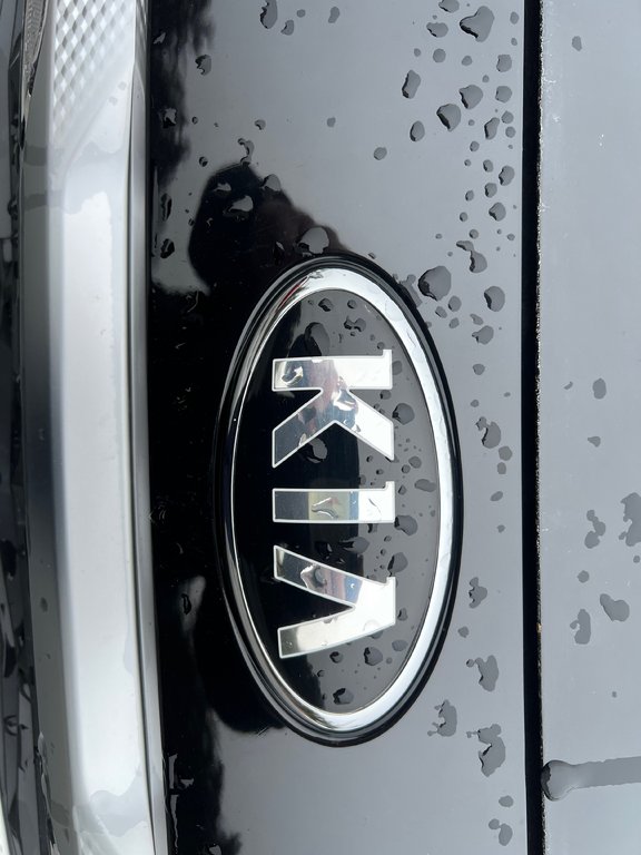 Kia Seltos EX Premium | Leather | SunRoof | Nav | Cam | USB 2021 à Amherst, Nouvelle-Écosse - 11 - w1024h768px
