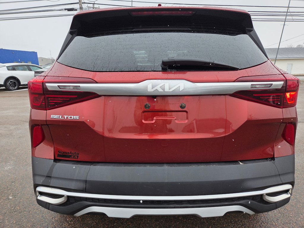 Kia Seltos EX | Leather | SunRoof | Cam | Warranty to 2028 2023 à Bridgewater, Nouveau-Brunswick - 15 - w1024h768px