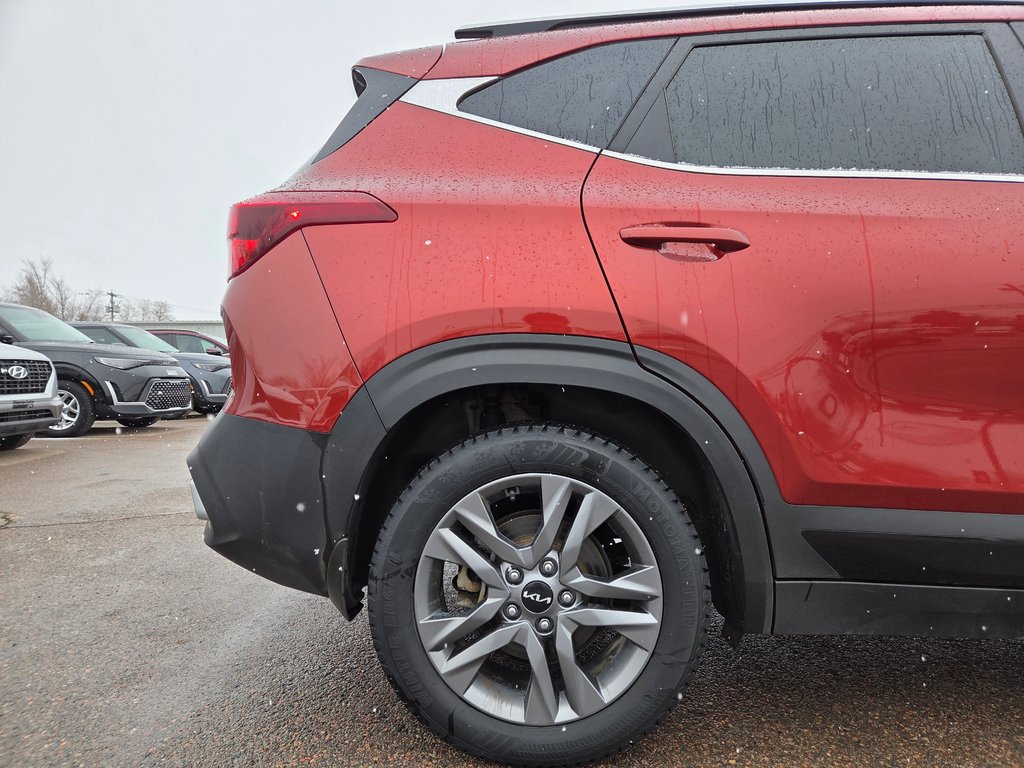 Kia Seltos EX | Leather | SunRoof | Cam | Warranty to 2028 2023 à Bridgewater, Nouveau-Brunswick - 19 - w1024h768px