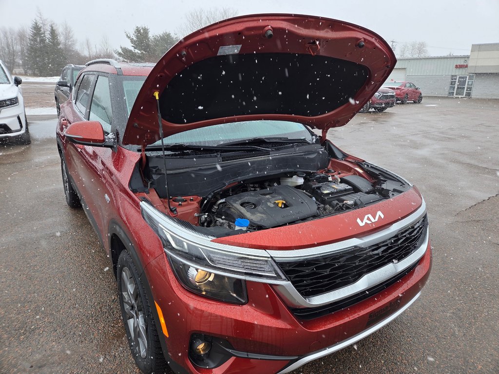 Kia Seltos EX | Leather | SunRoof | Cam | Warranty to 2028 2023 à Bridgewater, Nouveau-Brunswick - 105 - w1024h768px