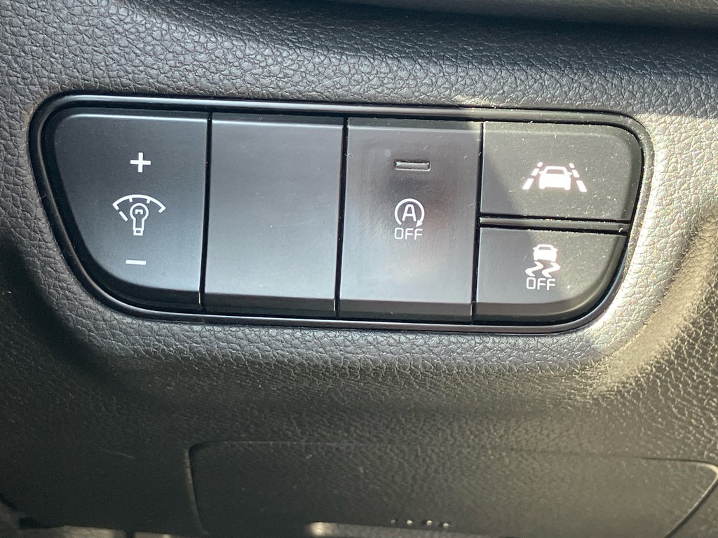 2023 Kia SELTOS EX | Leather | SunRoof | Cam | USB | Bluetooth in Amherst, Nova Scotia - 38 - w1024h768px
