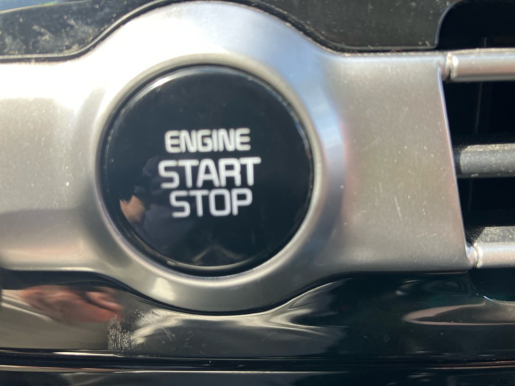 2023 Kia SELTOS EX | Leather | SunRoof | Cam | USB | Bluetooth in Amherst, Nova Scotia - 50 - w1024h768px