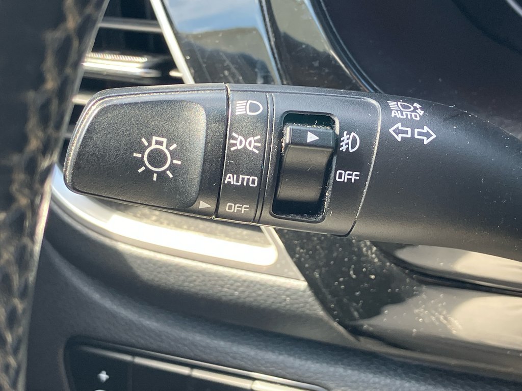 2023 Kia SELTOS EX | Leather | SunRoof | Cam | USB | Bluetooth in Amherst, Nova Scotia - 53 - w1024h768px