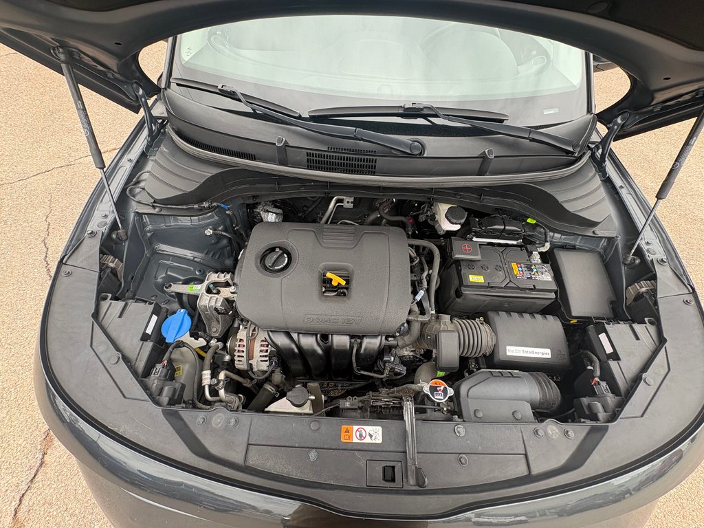 2023 Kia Soul EX+ | SunRoof | Cam | HtdWheel | Warranty to 2028 in Bridgewater, New Brunswick - 16 - w1024h768px