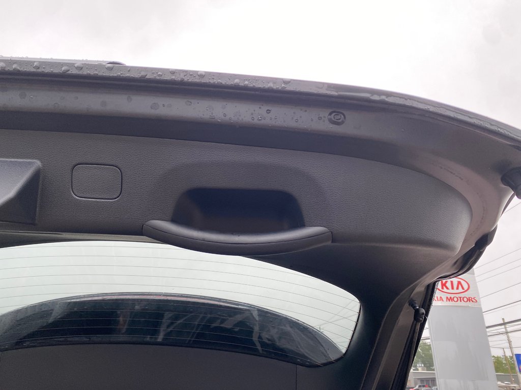 2026 Kia Sportage Hybrid EX | HEV | Leather | Cam | USB | Warranty to 2034 in Amherst, Nova Scotia - 55 - w1024h768px
