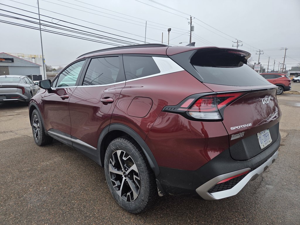 Kia Sportage EX | Leather | SunRoof | Cam | Warranty to 2029 2024 à Amherst, Nouvelle-Écosse - 13 - w1024h768px