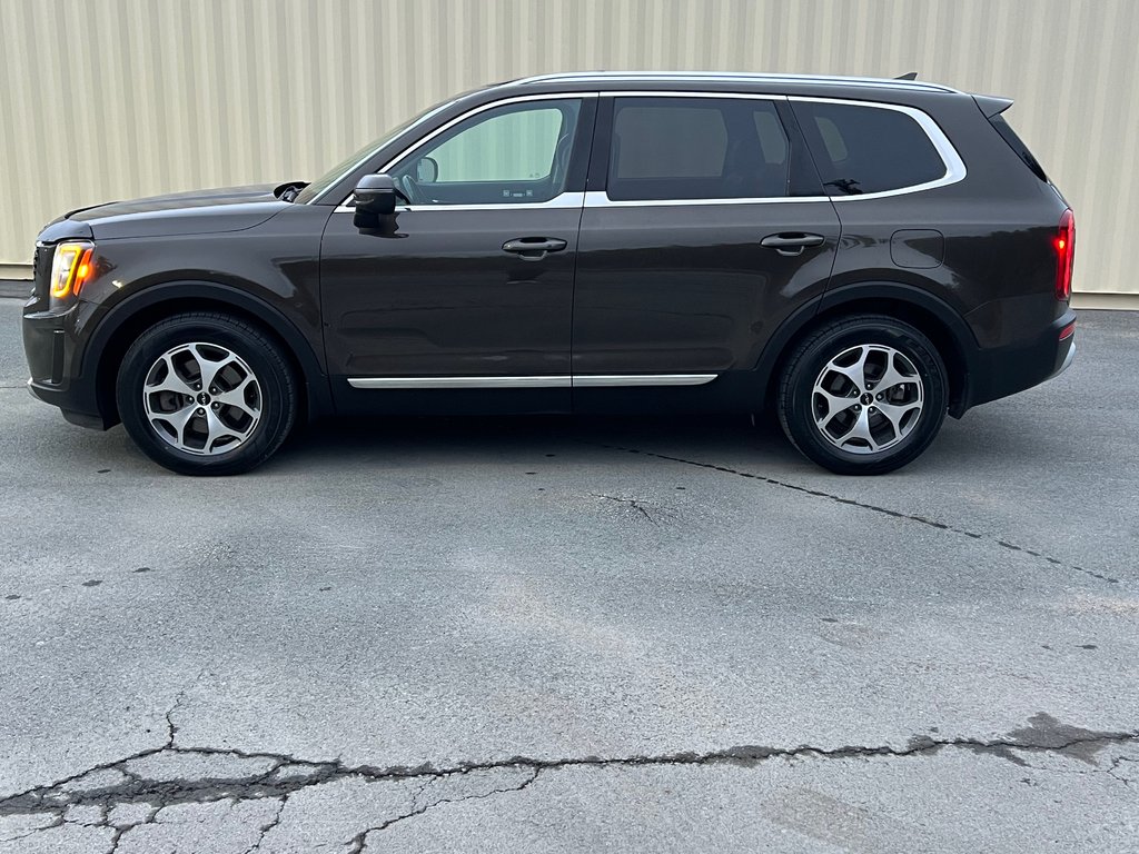 Kia Telluride EX | Leather | 8-Pass | Roof | Warranty to 2027 2022 à Hebbville, Nouvelle-Écosse - 6 - w1024h768px