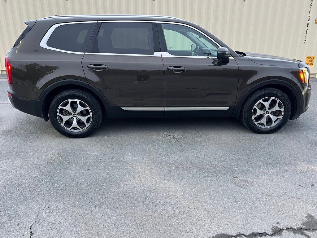 Kia Telluride EX | Leather | 8-Pass | Roof | Warranty to 2027 2022 à Hebbville, Nouvelle-Écosse - 2 - w1024h768px