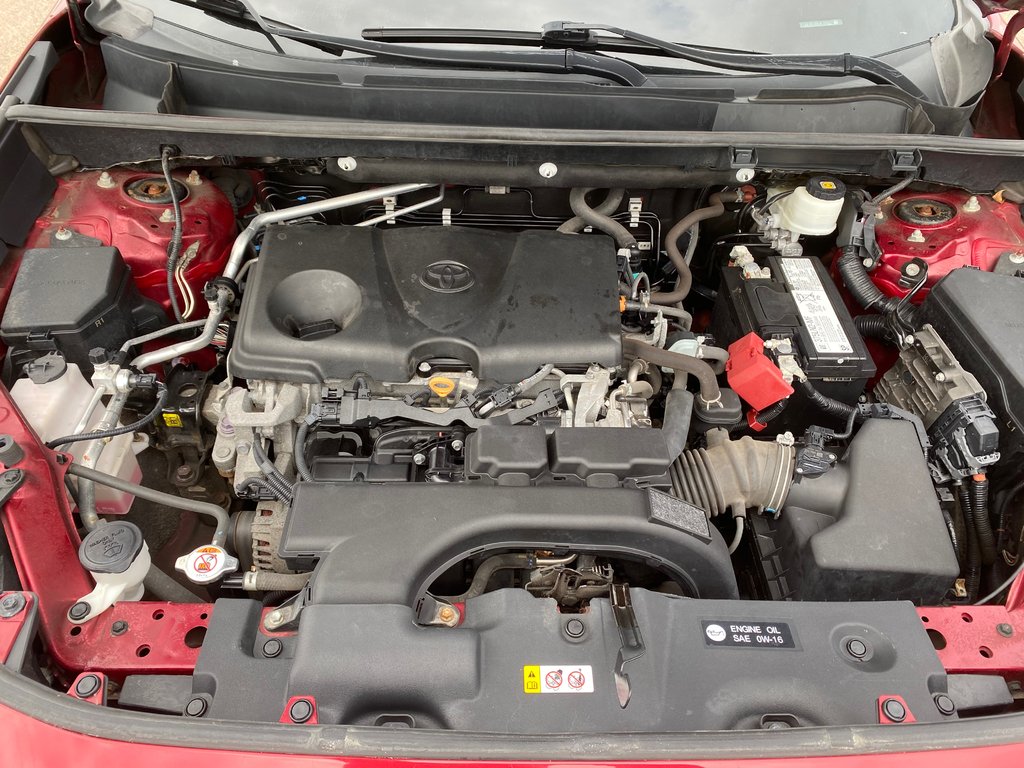 2020 Toyota RAV4 LE | Cam | USB | HtdSeats | Bluetooth | Keyless in Amherst, Nova Scotia - 15 - w1024h768px