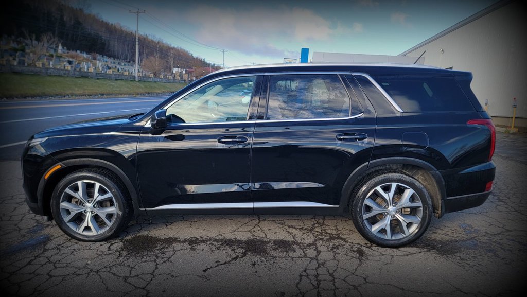 2022 Hyundai Palisade in Gaspé, Quebec - 10 - w1024h768px