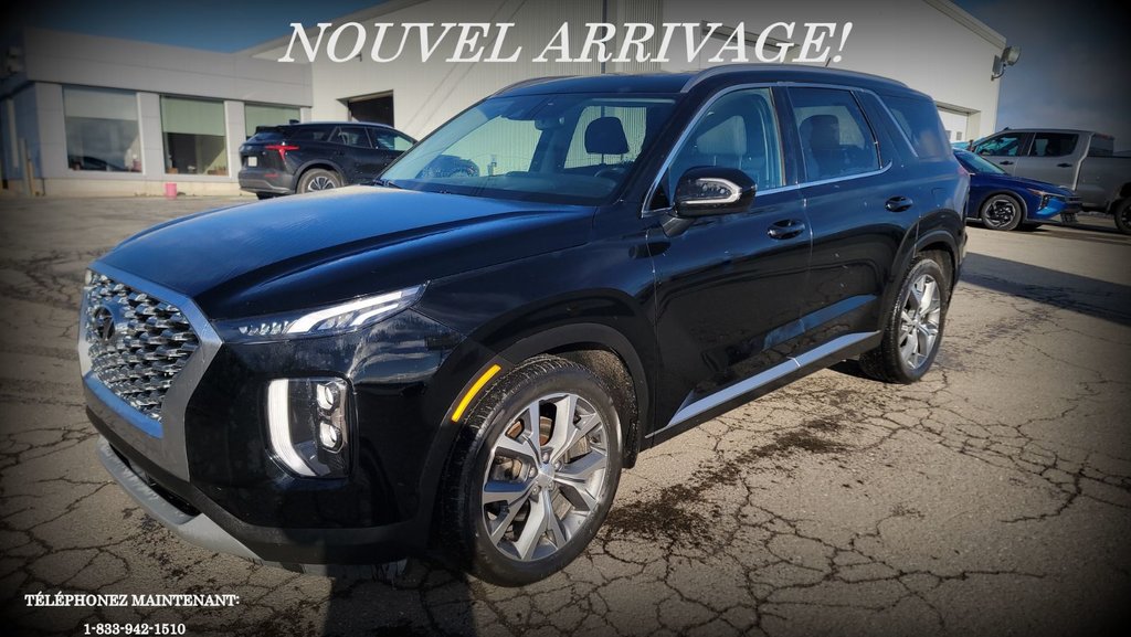 2022 Hyundai Palisade in Gaspé, Quebec - 1 - w1024h768px