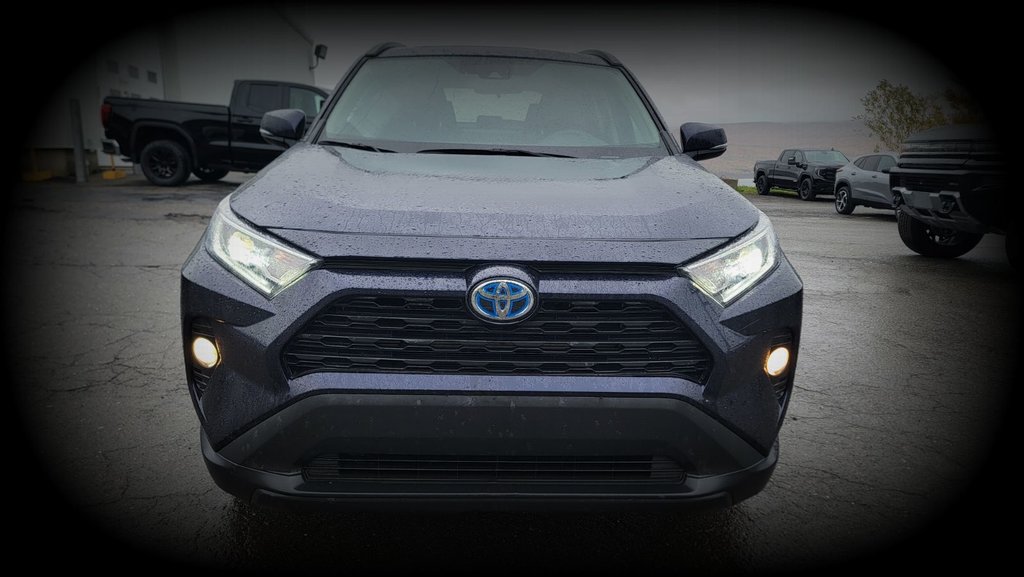 2021 Toyota RAV4 in Gaspé, Quebec - 3 - w1024h768px