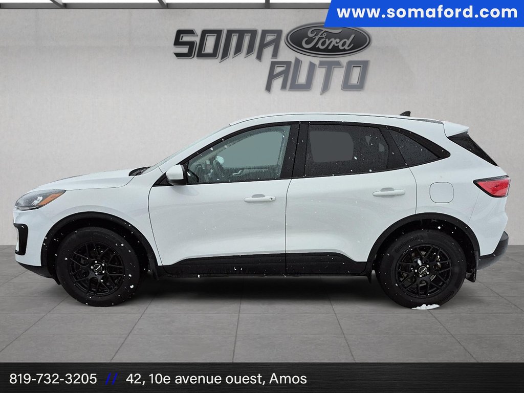 Ford Escape SE 2020 à Amos, Québec - 5 - w1024h768px