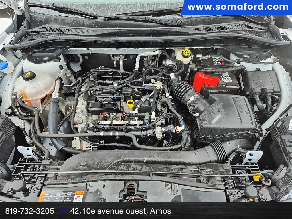 Ford Escape SE 2020 à Amos, Québec - 10 - w1024h768px