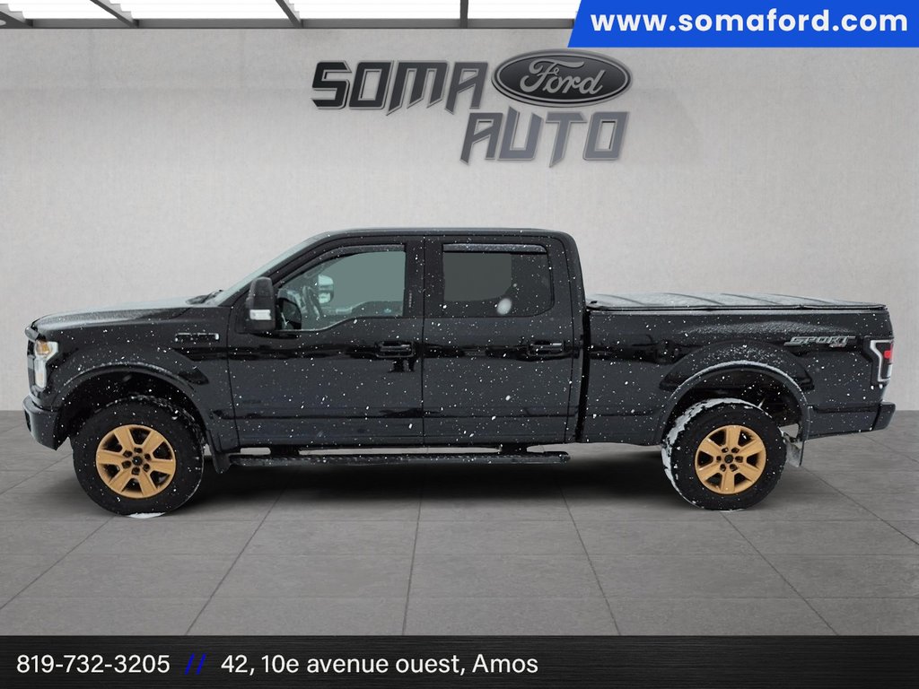 Ford F-150 XLT 2016 à Amos, Québec - 5 - w1024h768px