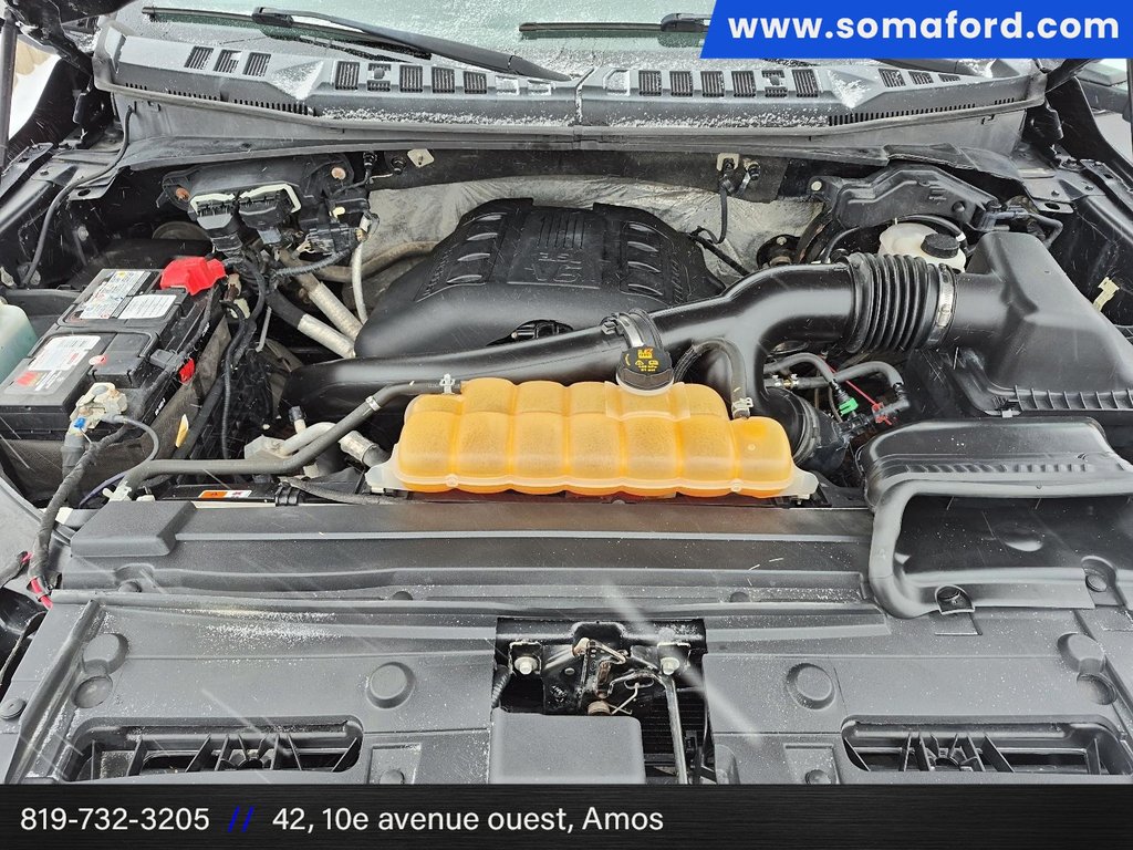 Ford F-150 XLT 2016 à Amos, Québec - 7 - w1024h768px