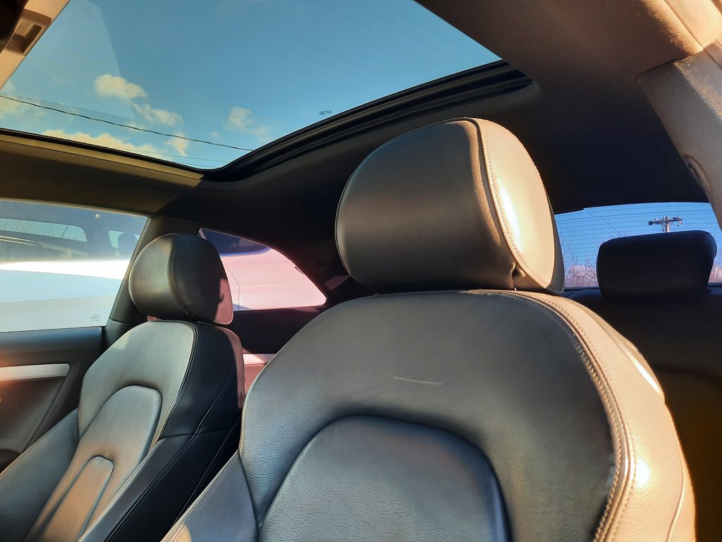 2015 Audi A5 Technik in Hebbville, Nova Scotia - 4 - w1024h768px